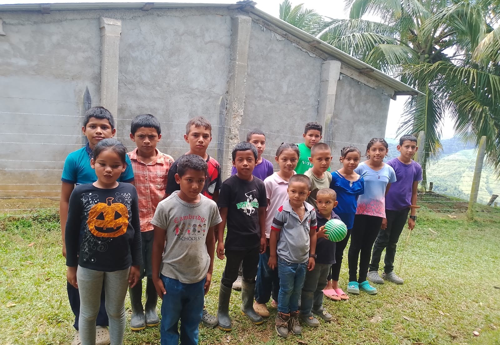 A group of children standing in front of their school building under palm trees